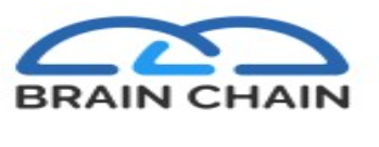 Brain Chain logo